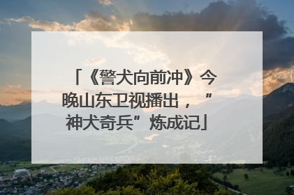 《警犬向前冲》今晚山东卫视播出，“神犬奇兵”炼成记