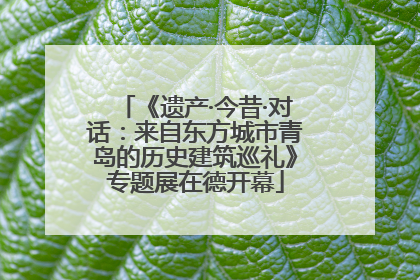 《遗产·今昔·对话：来自东方城市青岛的历史建筑巡礼》专题展在德开幕