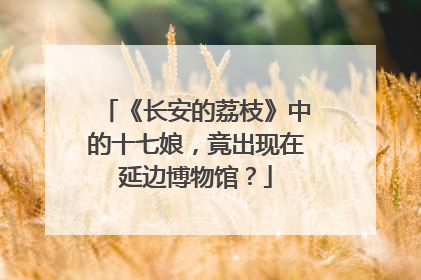 《长安的荔枝》中的十七娘，竟出现在延边博物馆？