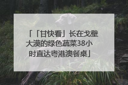 「甘快看」长在戈壁大漠的绿色蔬菜38小时直达粤港澳餐桌