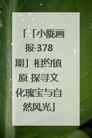 「小陇画报·378期」相约镇原 探寻文化瑰宝与自然风光