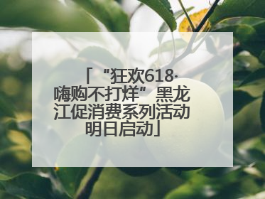 “狂欢618·嗨购不打烊”黑龙江促消费系列活动明日启动