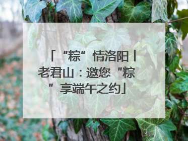 “粽”情洛阳丨老君山：邀您“粽”享端午之约