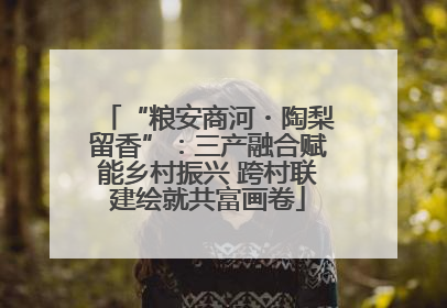 “粮安商河・陶梨留香”：三产融合赋能乡村振兴 跨村联建绘就共富画卷