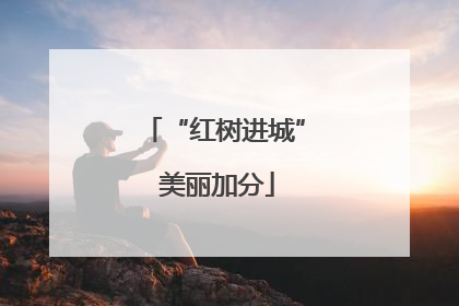 “红树进城” 美丽加分
