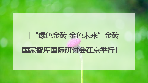 “绿色金砖 金色未来”金砖国家智库国际研讨会在京举行
