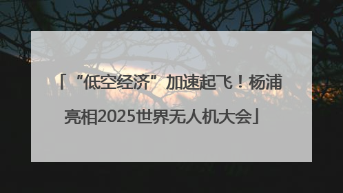“低空经济”加速起飞！杨浦亮相2025世界无人机大会