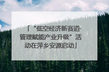 “低空经济新赛道·管理赋能产业升级”活动在萍乡安源启动