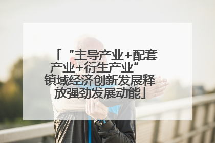 “主导产业+配套产业+衍生产业” 镇域经济创新发展释放强劲发展动能