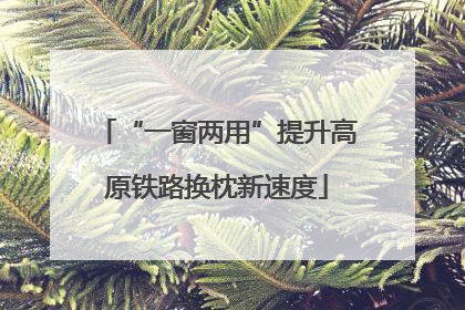“一窗两用”提升高原铁路换枕新速度
