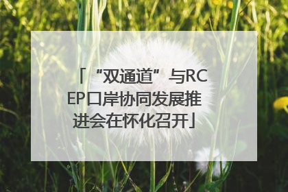 “双通道”与RCEP口岸协同发展推进会在怀化召开
