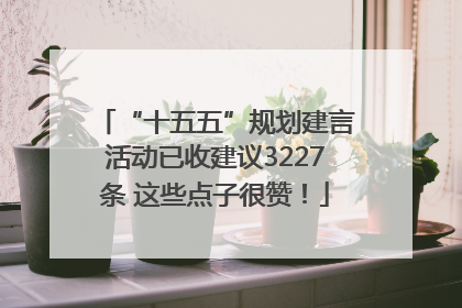 “十五五”规划建言活动已收建议3227条 这些点子很赞！