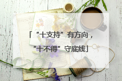 “十支持”有方向，“十不得”守底线