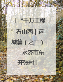 “千万工程”看山西｜运城篇（之二）——永济市东开张村