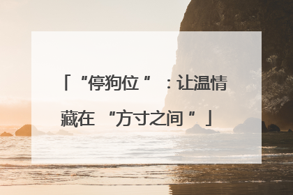 “停狗位 ”：让温情藏在 “方寸之间 ”