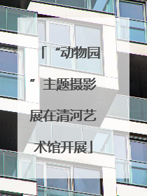 “动物园”主题摄影展在清河艺术馆开展