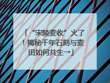 “宋陵麦收”火了！揭秘千年石刻与麦田如何共生→