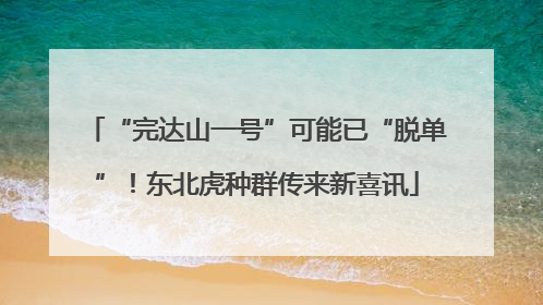 “完达山一号”可能已“脱单”！东北虎种群传来新喜讯