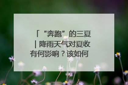 “奔跑”的三夏｜降雨天气对夏收有何影响？该如何防范？一文了解