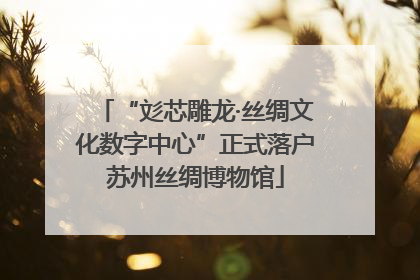 “彣芯雕龙·丝绸文化数字中心”正式落户苏州丝绸博物馆