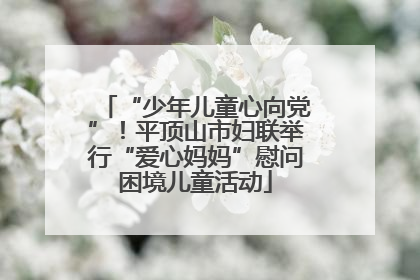 “少年儿童心向党”！平顶山市妇联举行“爱心妈妈”慰问困境儿童活动