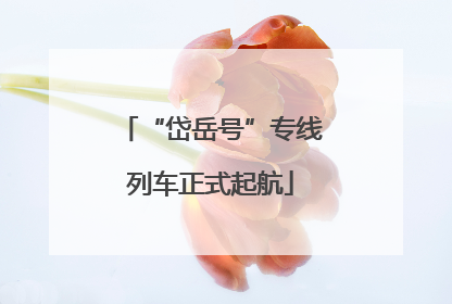 “岱岳号”专线列车正式起航