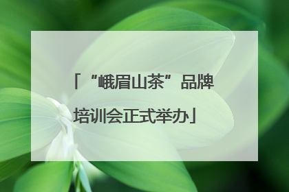 “峨眉山茶”品牌培训会正式举办