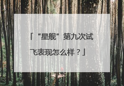 “星舰”第九次试飞表现怎么样？