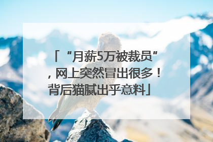 “月薪5万被裁员”，网上突然冒出很多！背后猫腻出乎意料