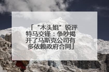 “木头姐”锐评特马交锋：争吵揭开了马斯克公司有多依赖政府合同