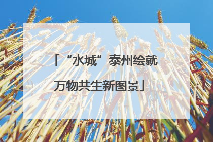 “水城”泰州绘就万物共生新图景