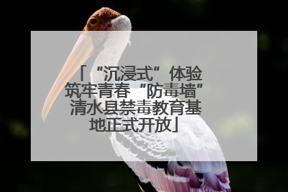“沉浸式”体验 筑牢青春“防毒墙” 清水县禁毒教育基地正式开放