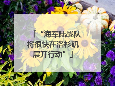“海军陆战队将很快在洛杉矶展开行动”