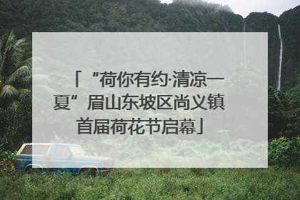“荷你有约·清凉一夏”眉山东坡区尚义镇首届荷花节启幕