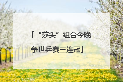 “莎头”组合今晚争世乒赛三连冠