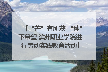 “芒”有所获 “种”下希望 滨州职业学院进行劳动实践教育活动