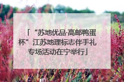 “苏地优品·高邮鸭蛋杯”江苏地理标志伴手礼专场活动在宁举行