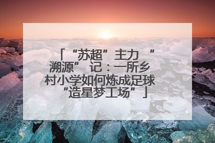 “苏超”主力 “溯源” 记：一所乡村小学如何炼成足球 “造星梦工场”