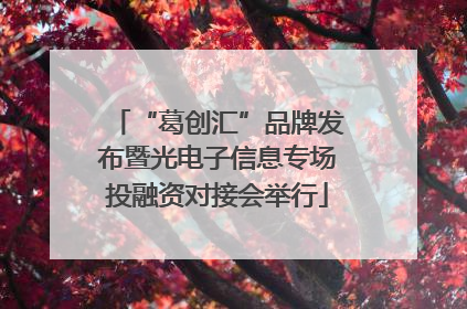 “葛创汇”品牌发布暨光电子信息专场投融资对接会举行