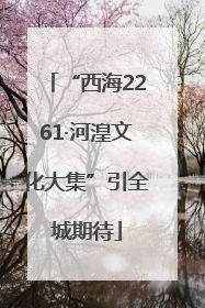 “西海2261·河湟文化大集”引全城期待