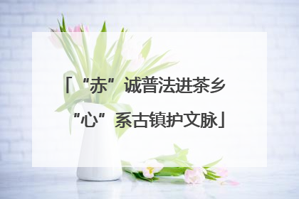“赤”诚普法进茶乡 “心”系古镇护文脉