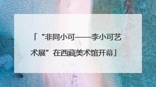 “非同小可——李小可艺术展”在西藏美术馆开幕