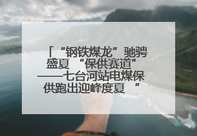 “钢铁煤龙”驰骋盛夏 “保供赛道”——七台河站电煤保供跑出迎峰度夏 “加速度”