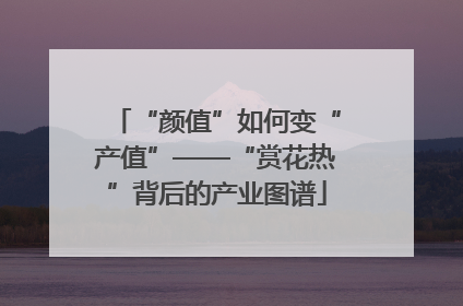 “颜值”如何变“产值”——“赏花热”背后的产业图谱