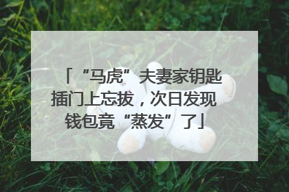 “马虎”夫妻家钥匙插门上忘拔，次日发现钱包竟“蒸发”了
