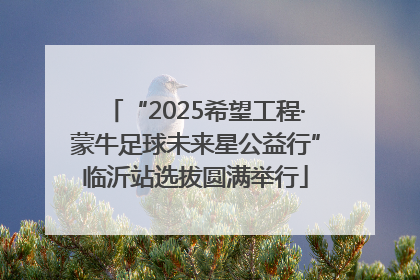 “2025希望工程·蒙牛足球未来星公益行”临沂站选拔圆满举行