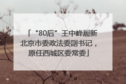 “80后”王中峰履新北京市委政法委副书记，原任西城区委常委