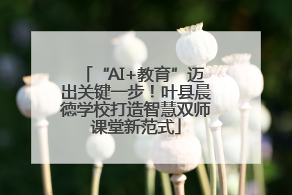 “AI+教育”迈出关键一步！叶县晨德学校打造智慧双师课堂新范式