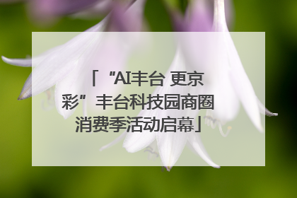 “AI丰台 更京彩”丰台科技园商圈消费季活动启幕