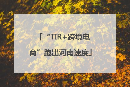 “TIR+跨境电商”跑出河南速度